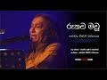 Rookada Madu Yaga Pole රූකඩ මඩු යාග පොලේ - Dr Victor Ratnayake