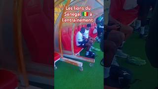 nCdBASmxdXI Video Image