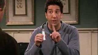 Friends S09E19 - Chandler und Ross im Hotel (German/Deutsch)