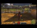 GW2