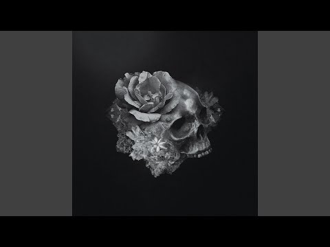 Mor Video
