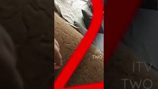 Itv2 Curve Ident 2