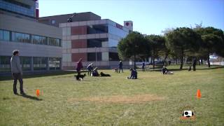 El juego de Pica Pared