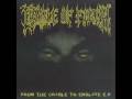 Cradle Of filth - From the Cradle to Enslave