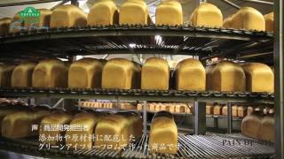 TOPVALU PAIN DE MIE