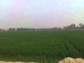 saeedkhan99