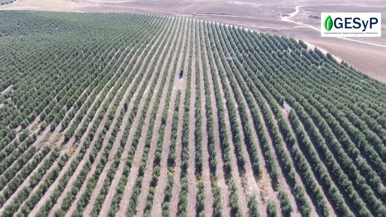 UAV