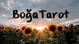 Boğa Burcu 20-26 Ekim Haftalık Tarot Yorumu