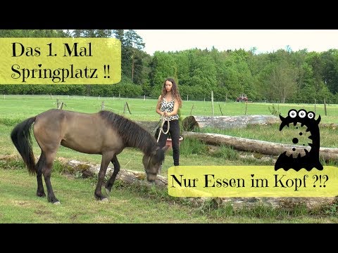 Ich Bruch Das Video