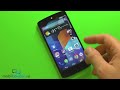 nexus