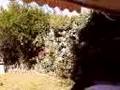 Foto pequena Jardin