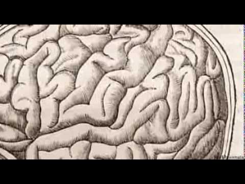 Problemas Psiquiátricos Y Vida Espiritual Problemas Psiquiátricos Y Vida Espiritual