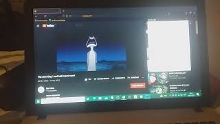 Timon Crying Has Bsod
