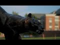 Living in Burlington, Vermont