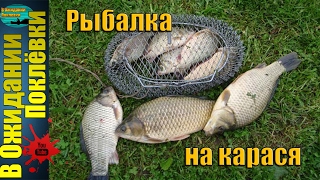 мамалыга для ловли леща мамалыга для ловли леща