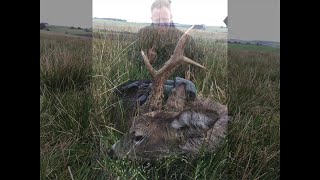 Gold Medal Buck Harvest by Ander's & Finn's Malform Buck