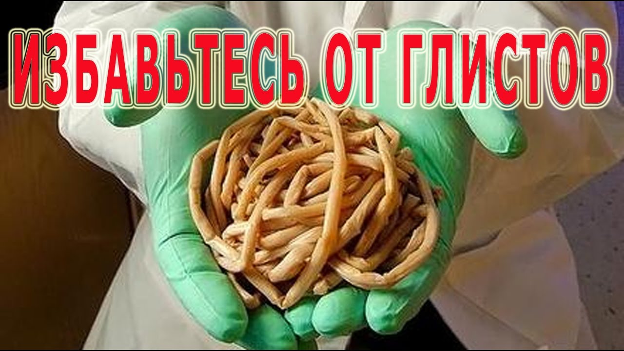 Кто как очистил кишечник от паразитов в домашних условиях 80