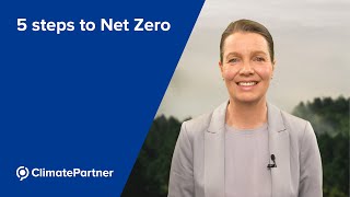 5 Steps To Net Zero I Climatepartner