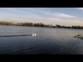 Parkzone Icon A5 First Flight Off Water - Crash and Rescue Boat