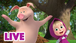 🔴 Прямой Эфир! Live Маша И Медведь 👱‍♀️🐻 Тут Нужна Смекалочка!😁🐷