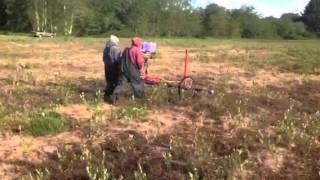 Wiping Willows and Tussock weeds out of a new planting of cranberries in Washington