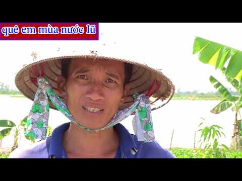 những người Nông dân miền Tây nuôi cá trên ruộng lúa