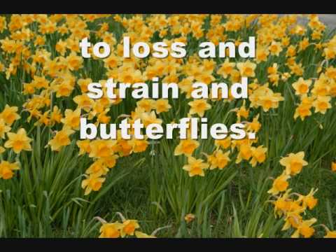 Loss, Strain, And Butterflies Video