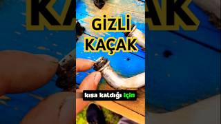 Astra G Gi̇zli̇ Su Kaçaği Nerede Herkesi̇n Merak Etti̇ği̇ Kaçak