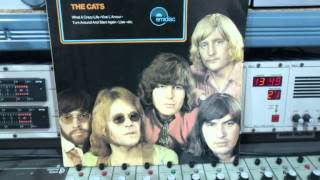Watch Cats The Greatest Thing video