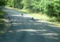duffy's crash Video