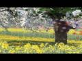 ATB - A NEW DAY - FEAT BETSY LARKIN HD