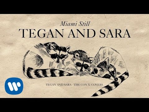 Miami Still Video