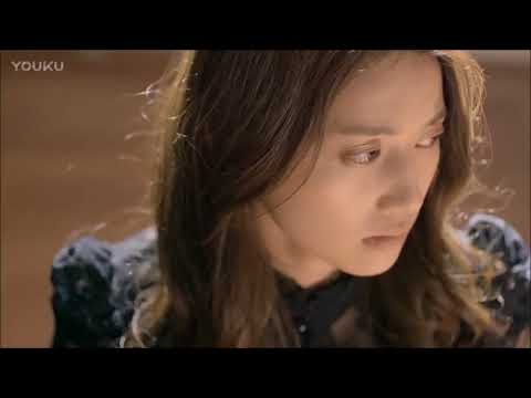 Fly Video