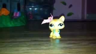 Littlest Pet Shop Effect