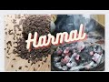 Harmal Seeds Benefits || Harmal kii dhoni  #Withemanfatima