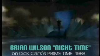 Watch Brian Wilson Night Time video