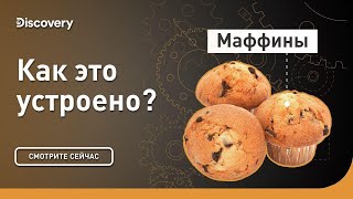 Маффины | Как Это Устроено? | Discovery