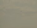 Falcon-massacre near the Malta international airport on 1st October 2012 - CABS