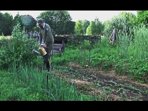 Лепешка удобрение Лепешка удобрение