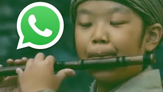 WhatsApp car drip flute