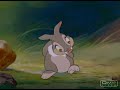 thumper