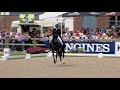 The stallion of the year Dark President (Wynton x G Ramiro Z) KWPN stallion with Riccardo Sanavio