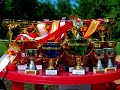 Специализированная выставка немецких овчарок в 