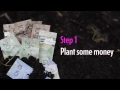 Save Your #@%* Money: How to grow a money tree