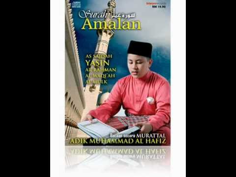 almulk adik muhammad al hafiz
