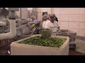 Off the Shelf: Pickles - America's Heartland