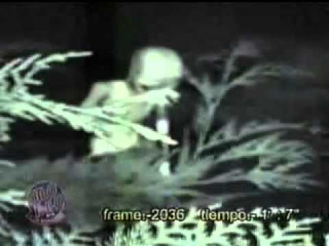 VIDEOS INEDITOS DE OVNIS videos ineditos de ovnis: