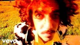 Max Gazzè - Sono Pazzo Di Te