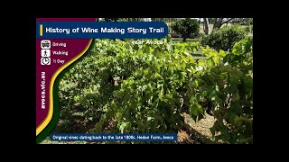Wine making near Avoca Story Trail