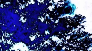 Mononoid - Two Terms (Zonderling Remix) Traum 159